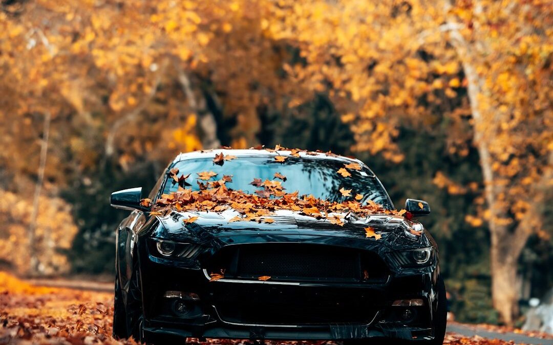 Essential Fall Vehicle Services to Keep Your Car Protected and Looking Its Best